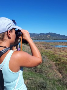 Le Settimane Sarde 2025: Aprile – Giugno – Settembre e Ottobre