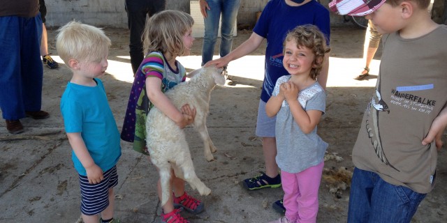 Die „Sardischen Wochen: Schau das Programm!