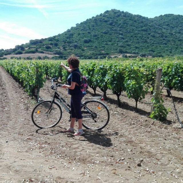 Sardischen Wochen – September und Oktober