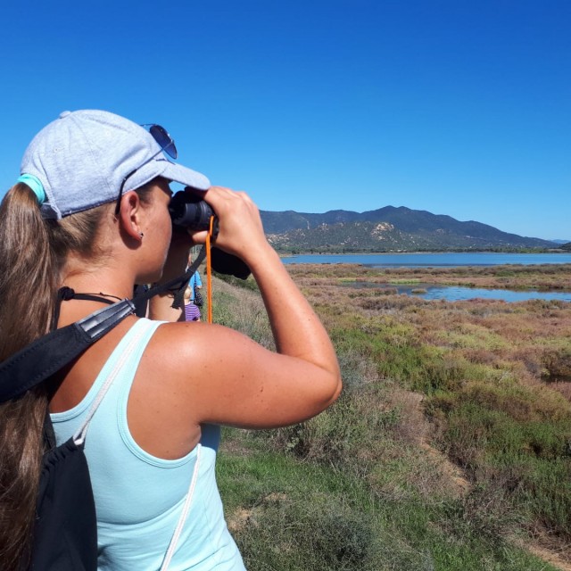 Le Settimane Sarde 2025: Aprile – Giugno – Settembre e Ottobre
