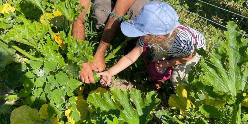Ripartono le Settimane Sarde di Giugno