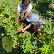 „Sardischen Wochen“ in Juni