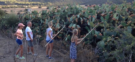 Sardinian Week