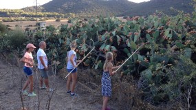 Sardinian Week